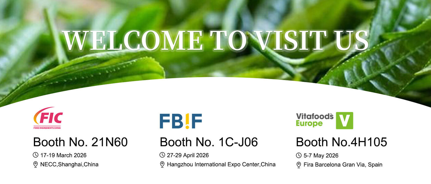 China best Probioticspoeder op verkoop