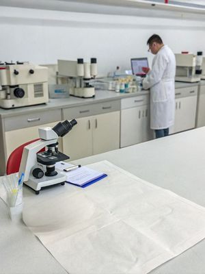 Gepasteuriseerde Parabacteroides distasonis PD001 / Postbiotica / Afwit tot grijs poeder