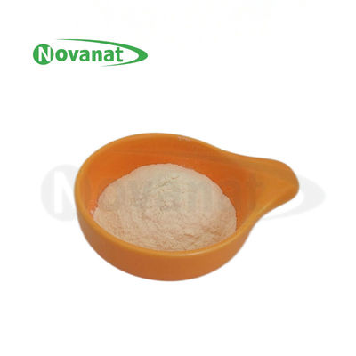 Pediococcus Acidilactici PA10 500 miljard CFU/g Probiotica Poeder Veganistisch/Allergeenvrij/Glutenvrij/Zuivelvrij