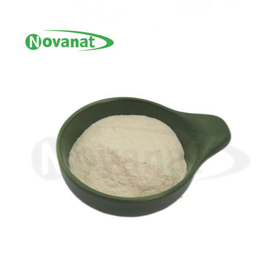 Lacticaseibacillus rhamnosus LR22/Veganistisch/Vrij (allergeen/gluten/zuivel) /Verteringsgezondheid