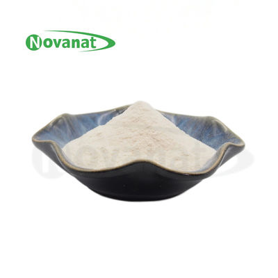 Bifidobacterium Longum Subsp Longum BL88-Alleen / Vegan / Allergeenvrij / Glutenvrij / zuivelproducten