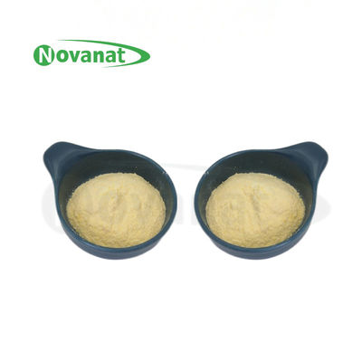 Lactiplantibacillus plantarum LP-Onlly Postbiotica Poeder Tyndallized / Vegan / Allergeenvrij / Glutenvrij / Zuivelvrij