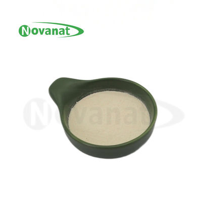 Lactobacillus delbrueckii subsp. Bulgaricus LB2/50 miljard CFU/G/Vegan/allergeen gratis/glutenvrij/zuivelvrij