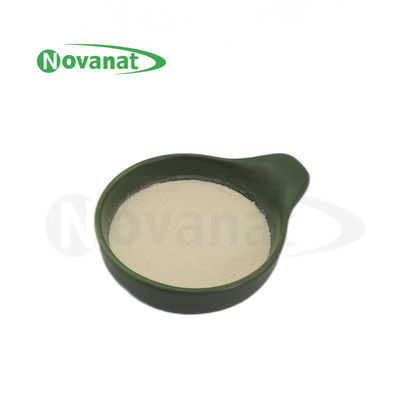 Lacticaseibacillus Paracasei LPC28 / 400 miljard CFU/g / Vegan / Allergeenvrij / Glutenvrij / zuivelproducten