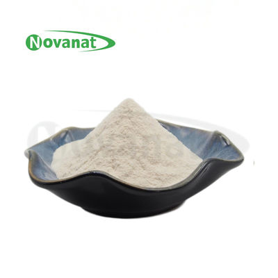 Lactobacillus Vrije amylovorus Lam600 50billion CFU/g/Vegan/(Allergeen/Gluten/Zuivelfabriek)